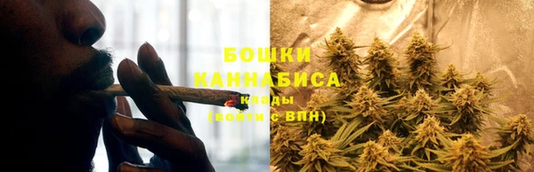 mdma Пересвет